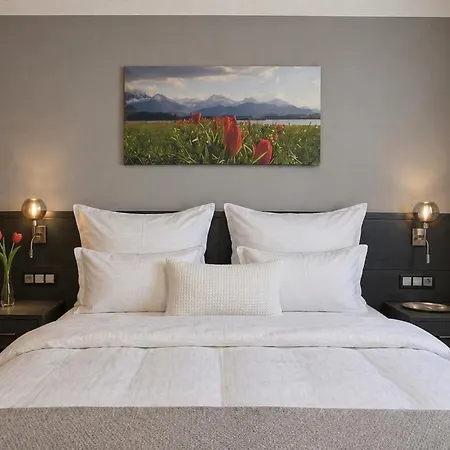 Am Koenig Ludwig Apartment Schwangau